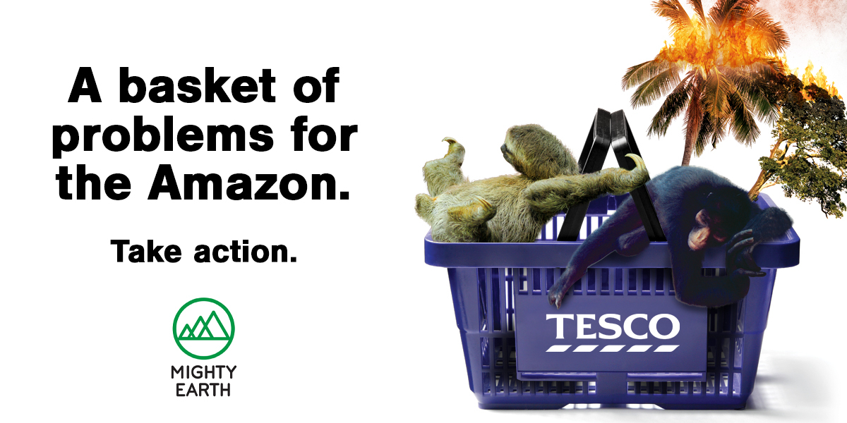Tesco:亚马逊问题篮